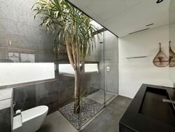 Braddell Heights Estate (D13), Detached #489599891